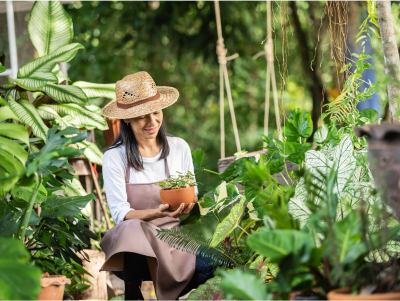 quienes somos inicio 1